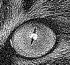 Picture from paper