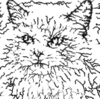 Picture from paper