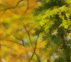 Picture from paper