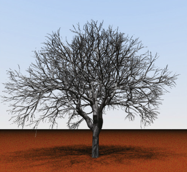 A procedural method for irregular tree models.png | Graphics, Imaging ...