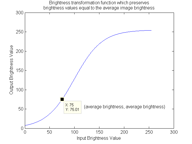 Brightness transformation function which does not shift brightness values equal to the average image brightness