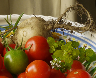 A cropped version of the Tomatoes image from the GIGL NPR benchmark