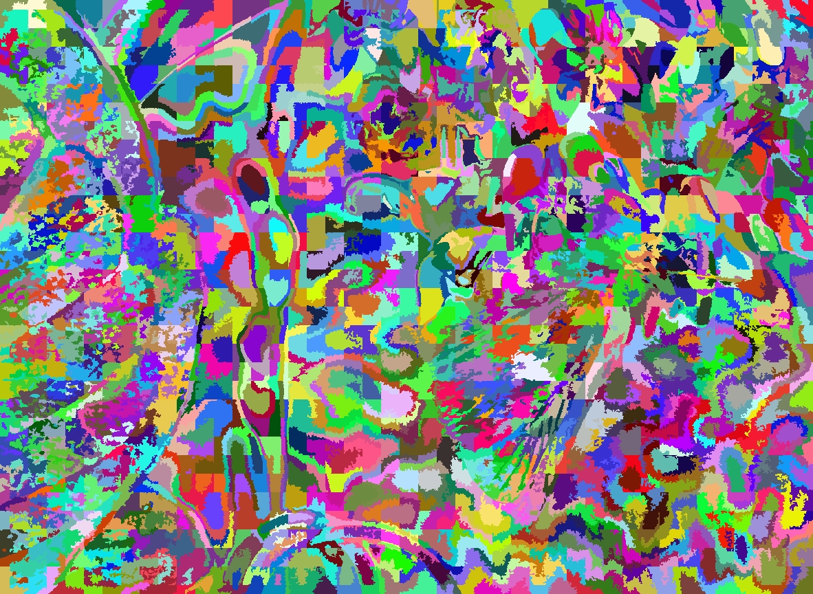 SLIC-segmented image, with randomly-coloured segments. regionSize parameter is 27, and regularizer parameter is 0.01