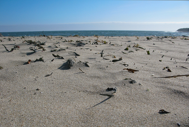 sand source image (Image credit: Rob Knight)